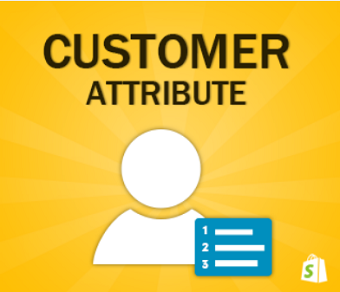 Customer Attribute